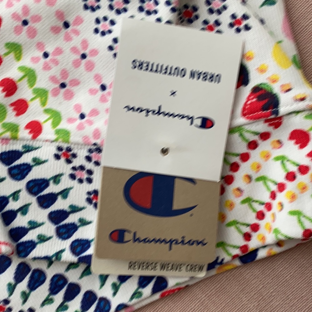 Champion X Susan Alexandra UO Exclusive Crewneck - Picture 11 of 13